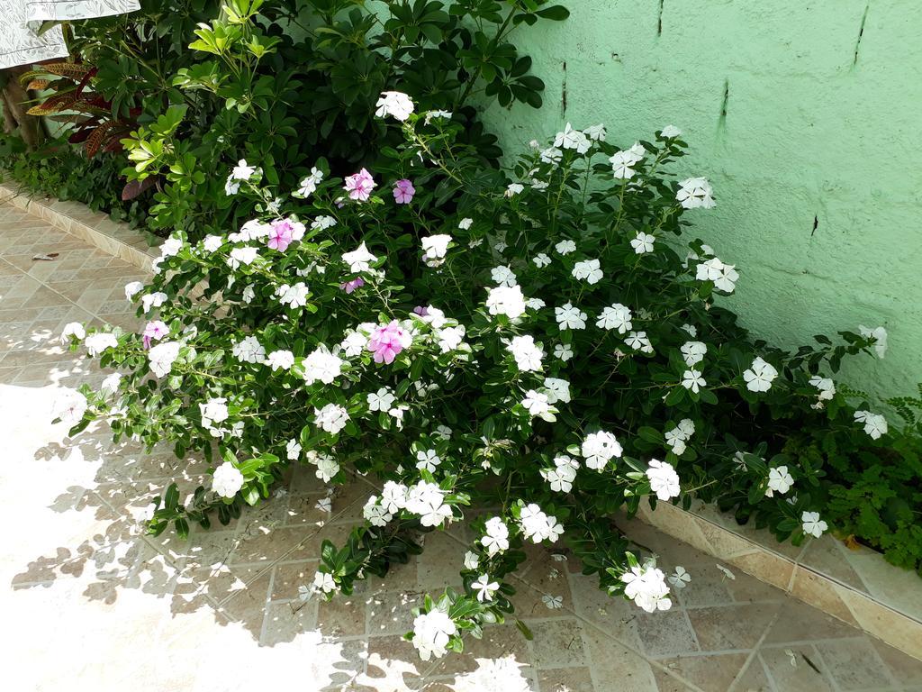 Canto Da Ilha 賓館