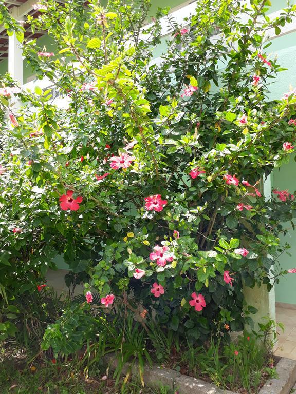 賓館 Canto Da Ilha Ilha Comprida
